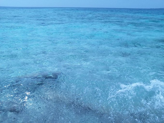 Took an afternoon at the beach yesterday and snapped a few pics, sometimes it's so beautiful here there<a href="/tag/thongthursday"class="tags"><span>#thongthursday</span></a>