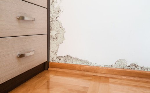 ProTenServices's tweet photo. What to do if you think there might be #structuralproblems in your #property https://t.co/vFn6tt2URs #Newcastle https://t.co/RbEcmJChW6