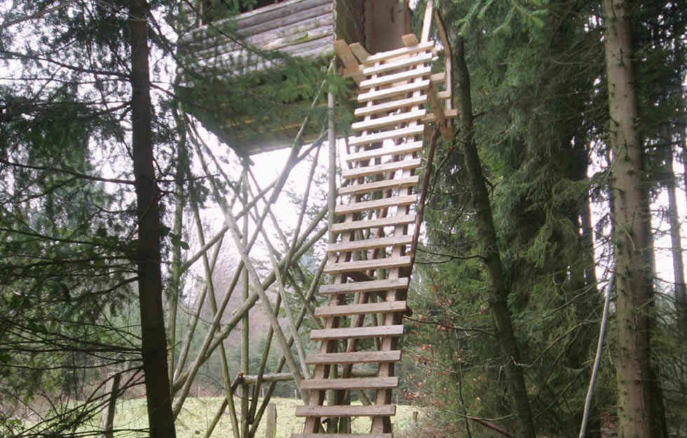 TAG24Sachsen's tweet image. #Jäger stürzt von #Hochsitz in #Weinböhla! #Polizei ermittelt tag24.de/nachrichten/we…