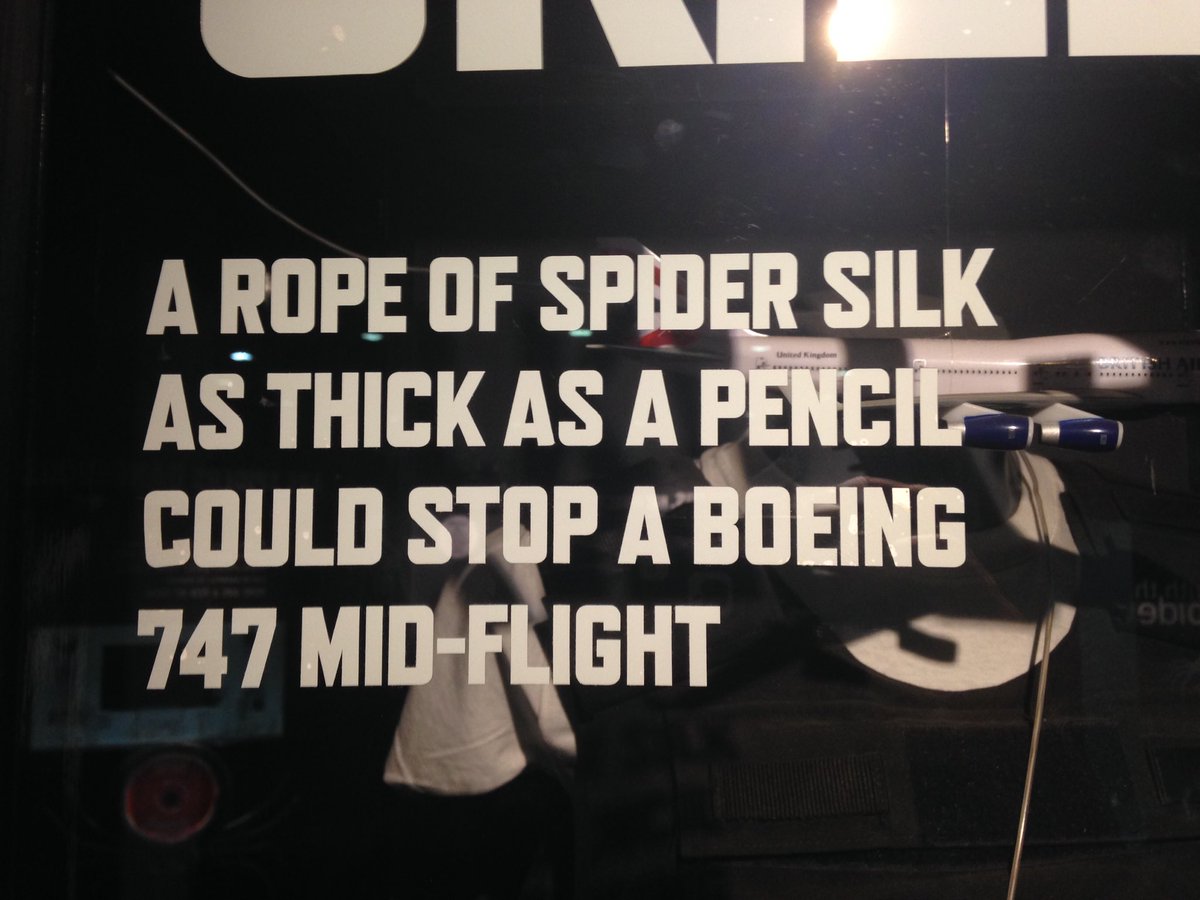wiggazzz's tweet photo. #spiderfact https://t.co/EgCcKw5rQB