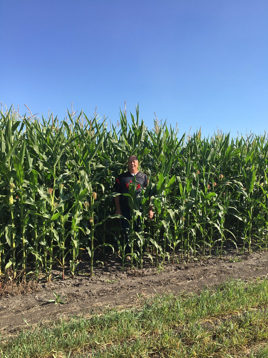 KemperSeeds's tweet photo. Thunder Seeds Solution Site Tour @ Fulda this morning. #kemperseedsltd #TH4126RR https://t.co/nwAV6pE1Qw