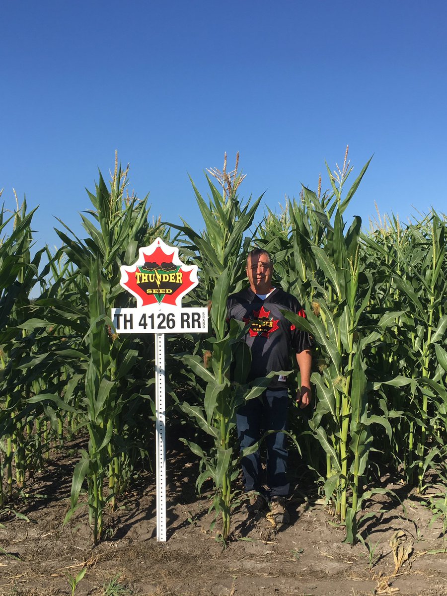 KemperSeeds's tweet photo. Thunder Seeds Solution Site Tour @ Fulda this morning. #kemperseedsltd #TH4126RR https://t.co/nwAV6pE1Qw