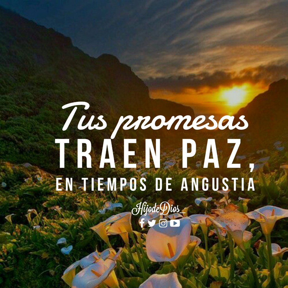 HijodeDios____'s tweet photo. En medio de la angustia, tu promesas son mi esperanza para seguir caminando. https://t.co/8OamEBGXgC