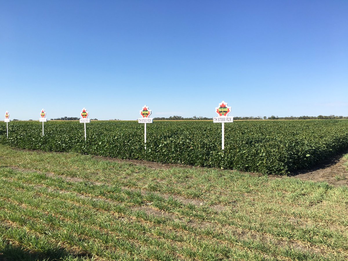 KemperSeeds's tweet photo. Thunder Seeds Solution Site near Fulda, Sk. #TH87000R2X #beautifulsite #checkusout https://t.co/E2bZMrErSx
