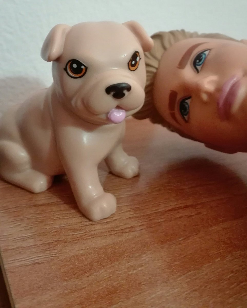 haircoolguy's tweet photo. I Love Joe! ❤❤❤😁🐶 @TWatsonDoll #cute #pet #joe #dog #puppy #barbie https://t.co/Q1rOcKdNkm
