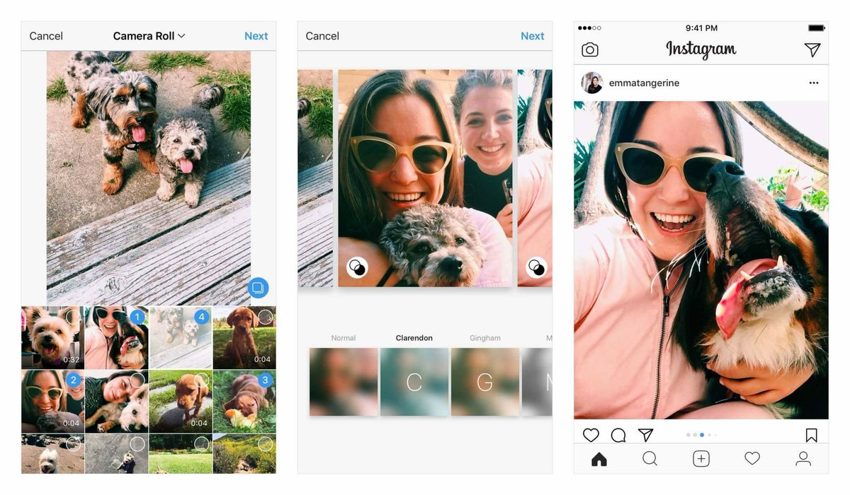 instagram's tweet photo. Starting today, you can choose landscape and portrait formats when sharing multiple photos and videos in one post. https://t.co/Lg1wiuRzxT