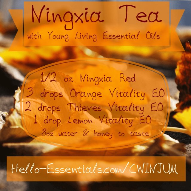 Winjum's tweet photo. RECIPE: Ningxia Tea #naturalhealth #wellness #essentialoils #plantbased #YLEO #VitalityDispensary #immunesupport #healthyfall https://t.co/XJ769pM70M