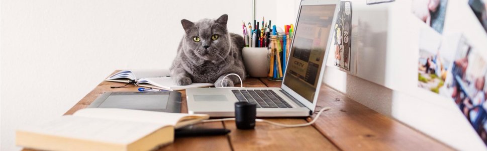 RDT_Telecoms's tweet photo. Discover how technology redefines the workplace: https://t.co/mlJVqnocrx via @Xerox #SetThePageFree https://t.co/JcQ4VlCf9e