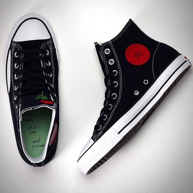 converse tampa