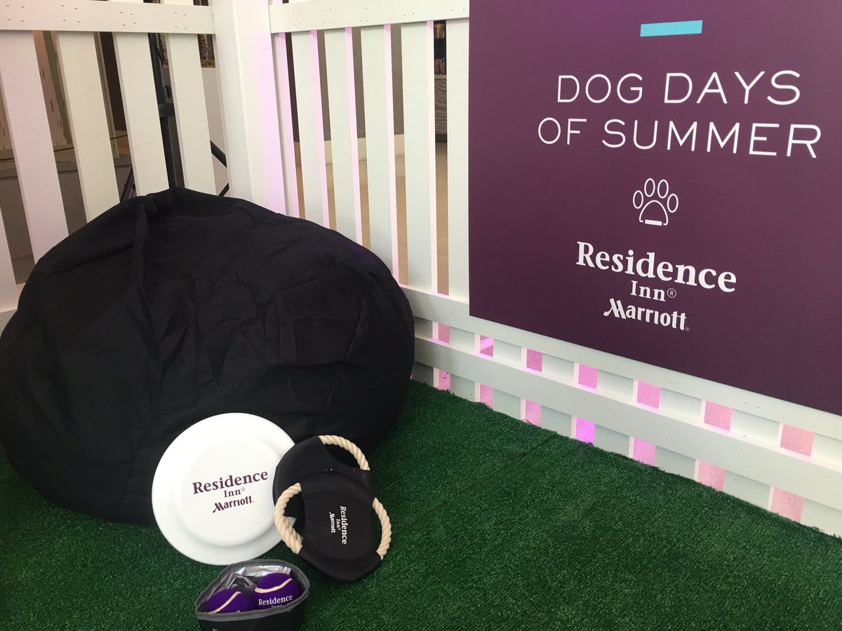 Res_InnSurfside's tweet photo. #ridogdaysofsummer @Res_InnSurfside https://t.co/Oi1TQHzNQR