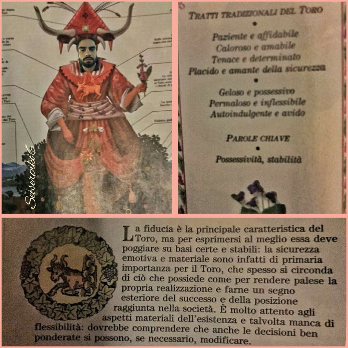 SeiSerpiko6's tweet photo. L'oroscopo ci mancava 
#MarioSerpa 
#MarioFox
#PaoloSerpa
#Toro https://t.co/ixtjenBxEg