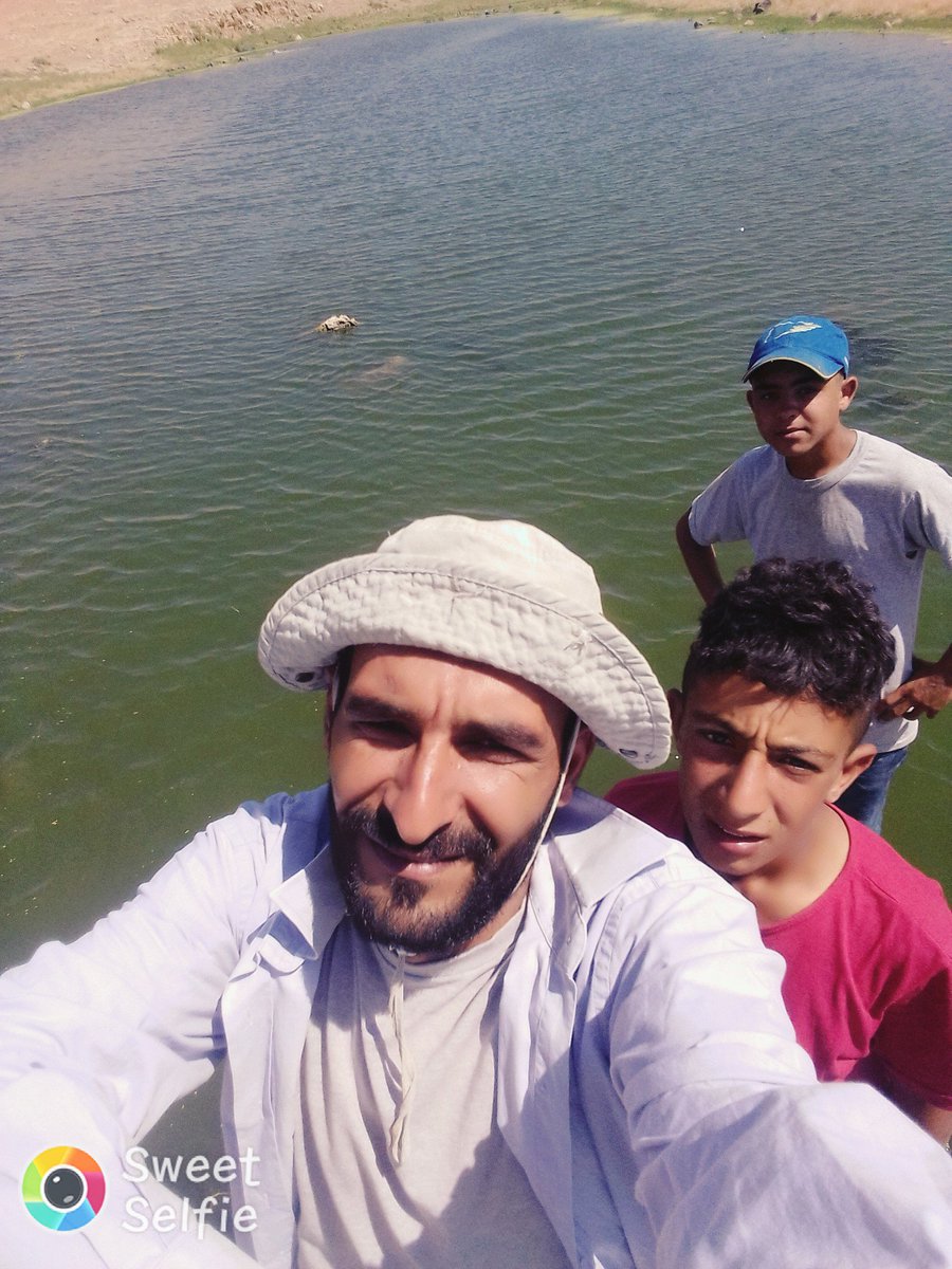 Tehlike Kars 5 (@tehlikekars_5) on Twitter photo 