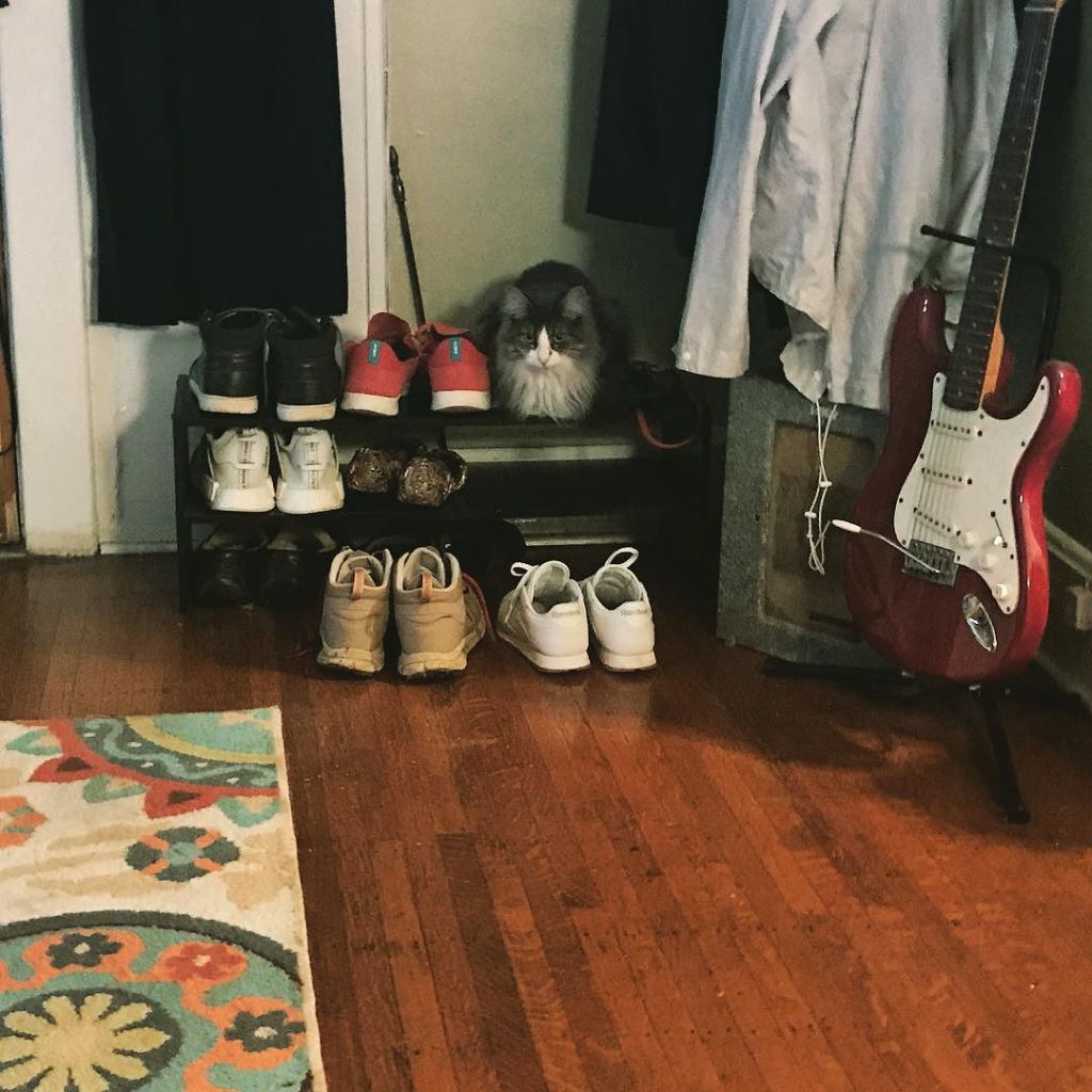 tinyinstruments's tweet image. “Maybe if I pretend to be shoes, dad will give me more attention” tnynstrmnts.com/2017/08/29/may…