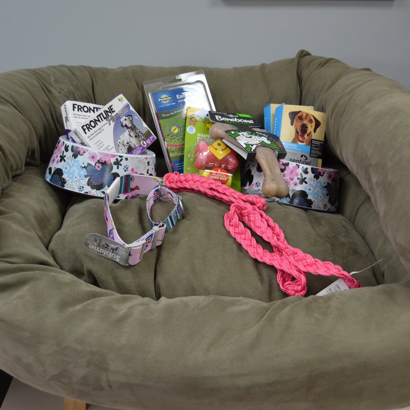 Adopt happy-go-lucky Helga and get this amazing care package! Call the shelter and make an apt. to meet Helga today!
dupageco.org/AnimalControl/…