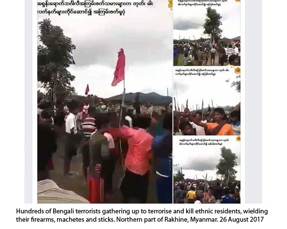 Rakhine News.
Bengali Terrorist Attack. Northern part of Rakhine, Myanmar.
29 August 2017