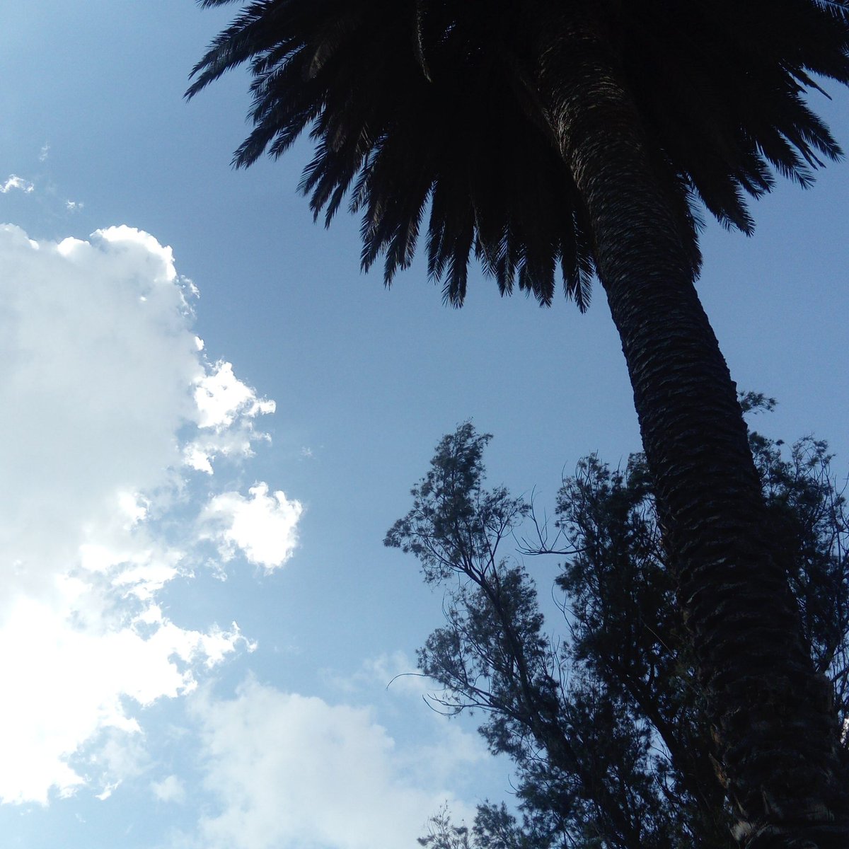 flotapa1's tweet photo. Puebla https://t.co/RXgQi2Awec