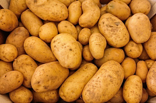 HECtarNG's tweet photo. Plateau Potato farmer cry in agony as an unknown disease attack their farm. https://t.co/WV1SZJTMas https://t.co/PRc6XRE5HU