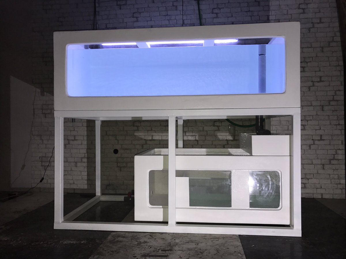 totalability2's tweet image. 