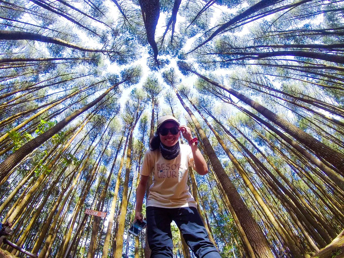 isawUKOfficial's tweet photo. πΆβ Beneath the trees where nobody sees πΆβ by : π· IG @sesiliadyah
#WhatISAWToday Captured on the #ISAWEDGE https://t.co/VBg3ozsODS #ISAWCAM https://t.co/fPDdu8HvME