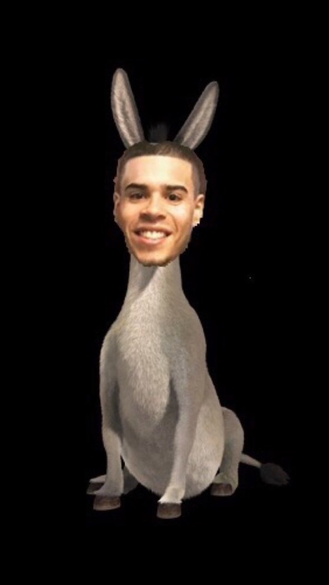 Wishing our favorite donkey, Brother @LeoRealSimple a happy birthday today!