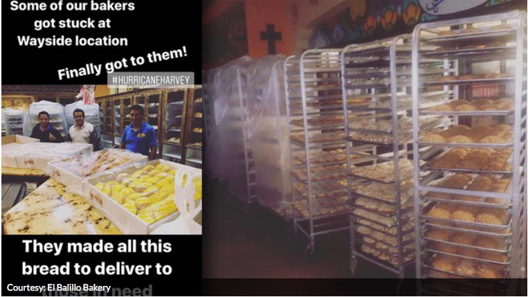 3 Bakers trapped in a bakery in houston. They made all this pan dulce bread for victims instead. They send their best #ElBolilloBakeries
