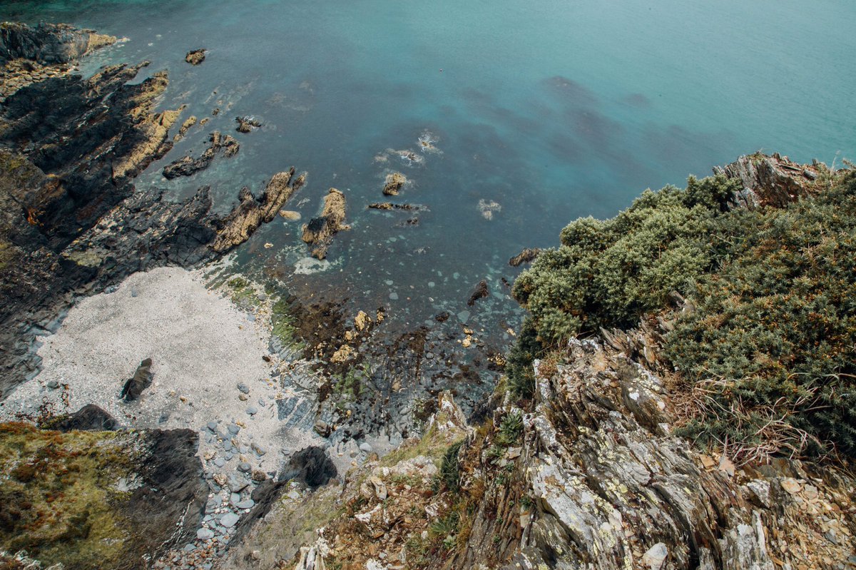 DanukeBlogg's tweet photo. We just got home from our trip to Pembrokeshire we had the best time and finally got to dip our feet in the sea 🌊 https://t.co/lPjVIMHNgl