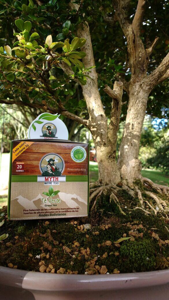 TeaMyth's tweet photo. #BuenMartes.Te recomendamos nuestro delicioso #téverde 🍵🍃que aumenta tus #defensas,💪🏻#desintoxicatúcuerpo😌 y #frenaelenvejecimientodelapiel https://t.co/raF30pb8cw