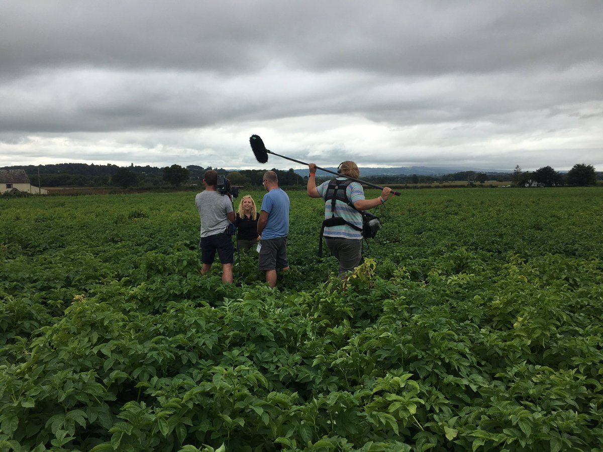 Branston's tweet photo. Great day's filming in Somerset with @tableofdelights getting Potatoes footage for the website https://t.co/3HYUxYuDFY https://t.co/xphPr7oAp3