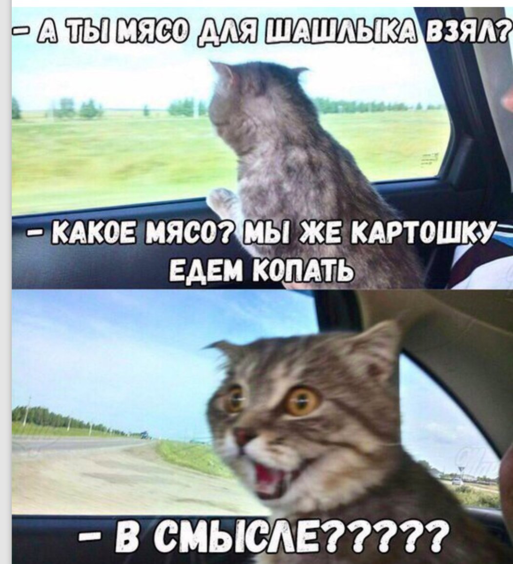 Копаем картошку приколы