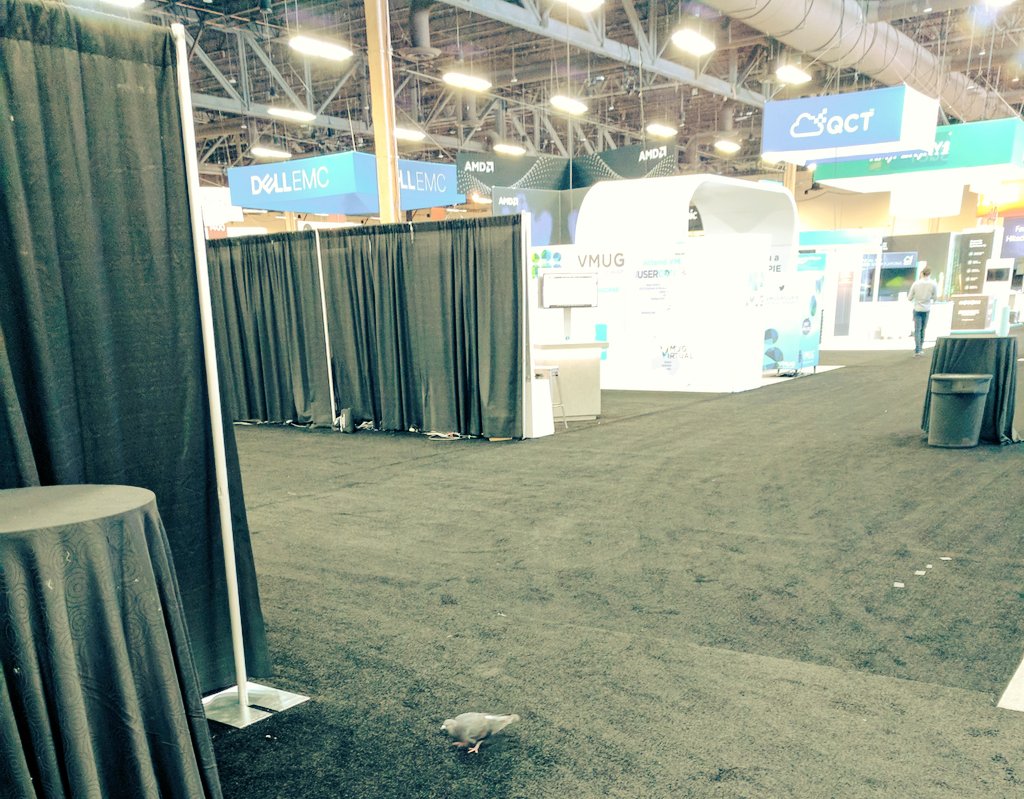 DigitalMcB's tweet photo. this #pigeon heard all the #cloud talk at #VMworld https://t.co/Q6JGIX2daj
