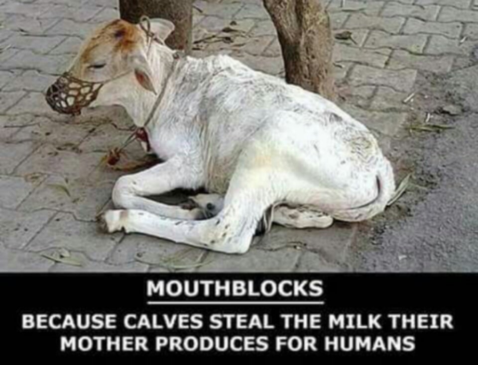 Merciless thieves.  Go #vegan