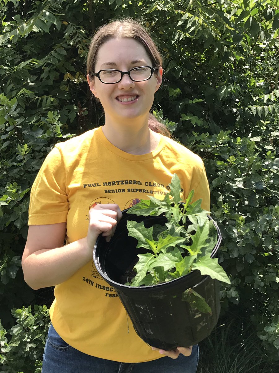 wiseflies's tweet image. #ScientistInHabitat