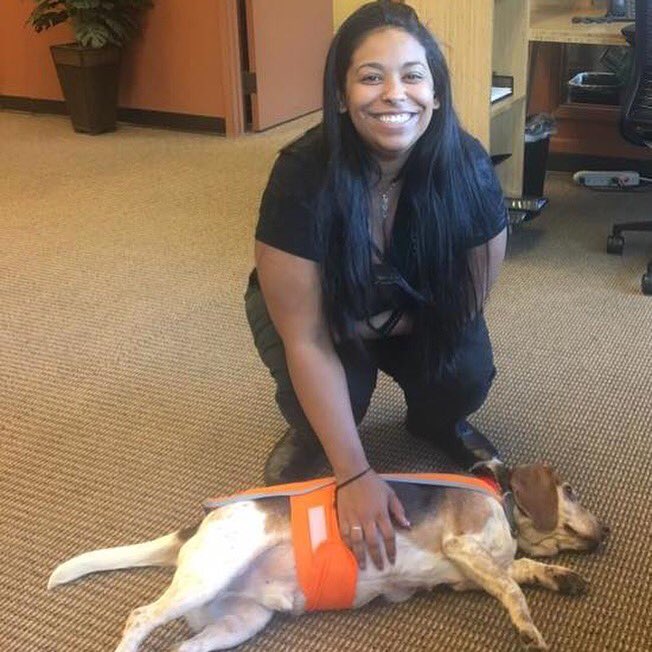 MuddResLife's tweet photo. Meet Red -the newest member of Campus Safety! Red is a 10 yr old beagle mix! #harveymudd #rescuedog https://t.co/xttmqsYPw5