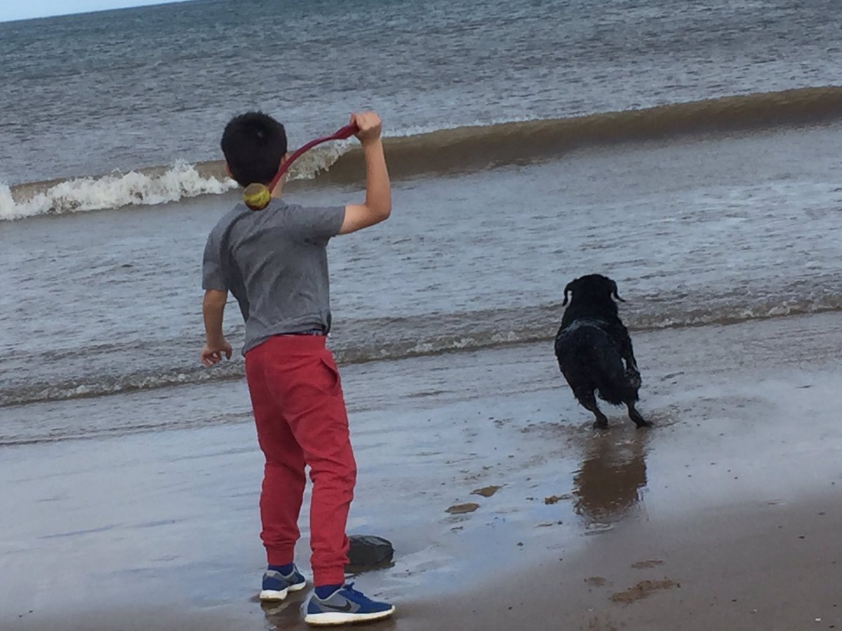 lorlingra's tweet photo. Camping at Fraisthorpe Beach with @LeedsDA @FriendlyClubMag #AHPsActive https://t.co/gTs5o2yeoz