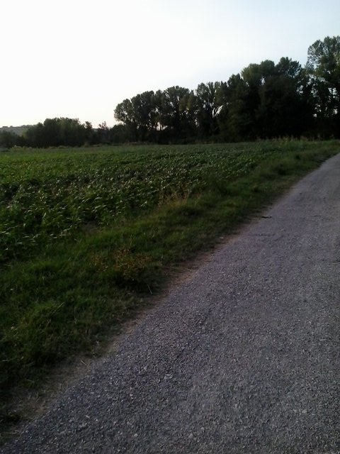 gattoni30's tweet photo. Ricaricarsi con la #natura e la #musica#Rachmaninov#namaste https://t.co/LEc3IJuJ04