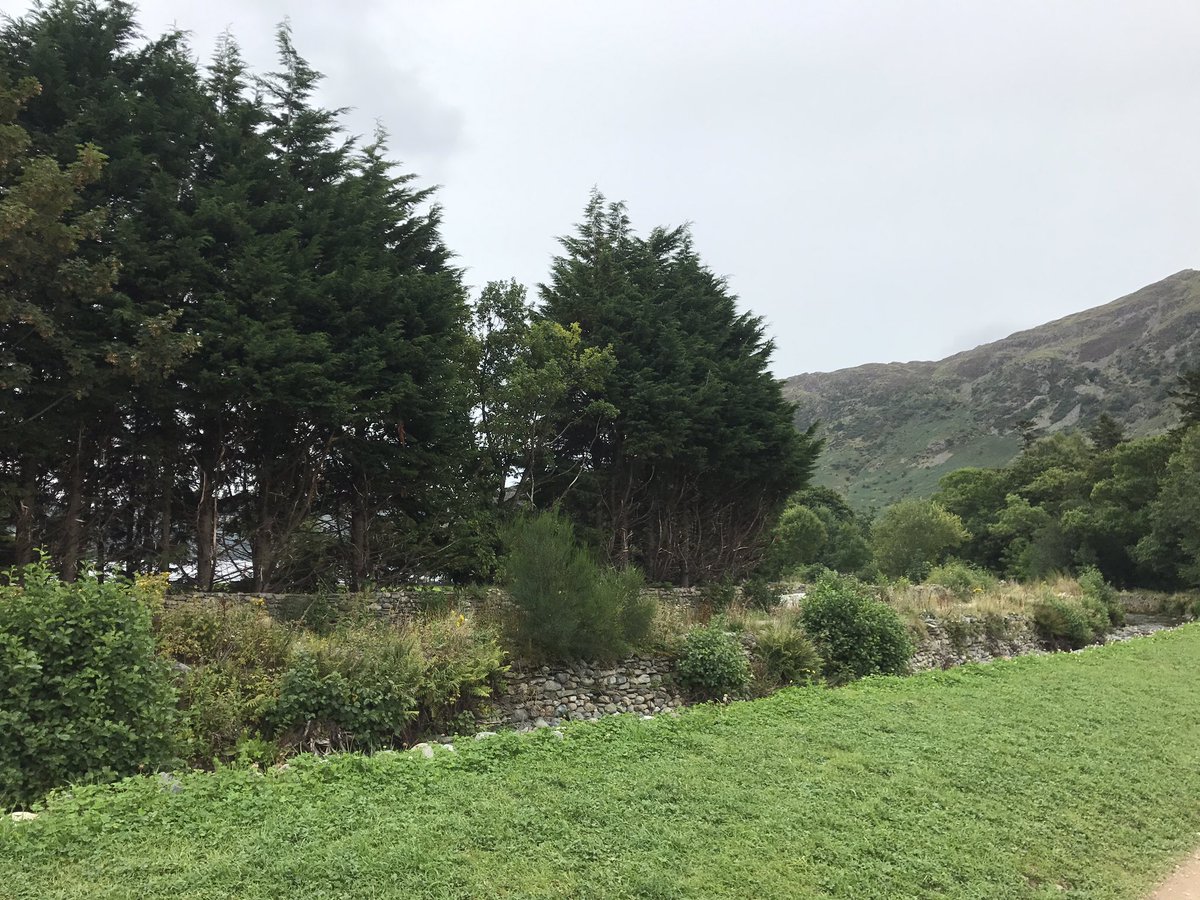 Jones23Emma's tweet image. Last training #swim before #Windermereoneway on Sunday ahhhh 😳 justgiving.com/fundraising/Em…