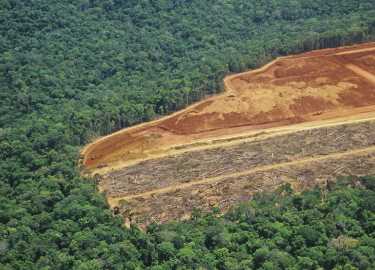 NataliaBYoung's tweet photo. @BBC reports Brazil opening reserve in Amazon - about the size of Rhode Island+Connecticut combined - at a critical time for conservation. https://t.co/iOcRi1jzt6