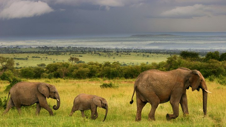 johntnordberg's tweet photo. Greening the Mega #LakeChad Basin in #Africa—using #DOAWG—will help expand the #Savanna #Habitat for #EndangeredSpecies
#Water
#WaterIsLife https://t.co/Rrv5kPTK3y