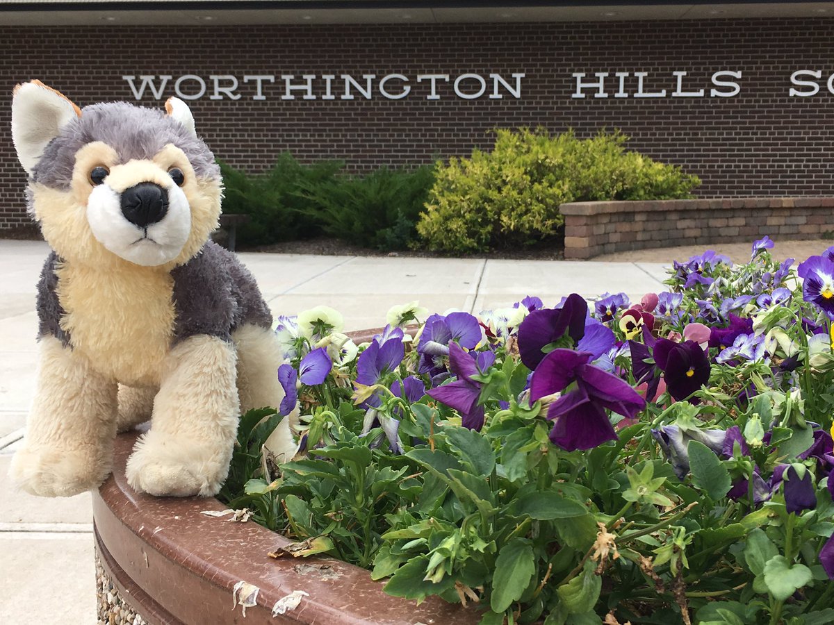 Kilbourne5K's tweet photo. Miles is checking out the location of the start/finish line for the @Kilbourne5K . Will you be here on 9/4? #beapartofthepack https://t.co/askTaEzmnW