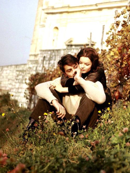 Cassana Estermont. (@cassestermont) on Twitter photo 