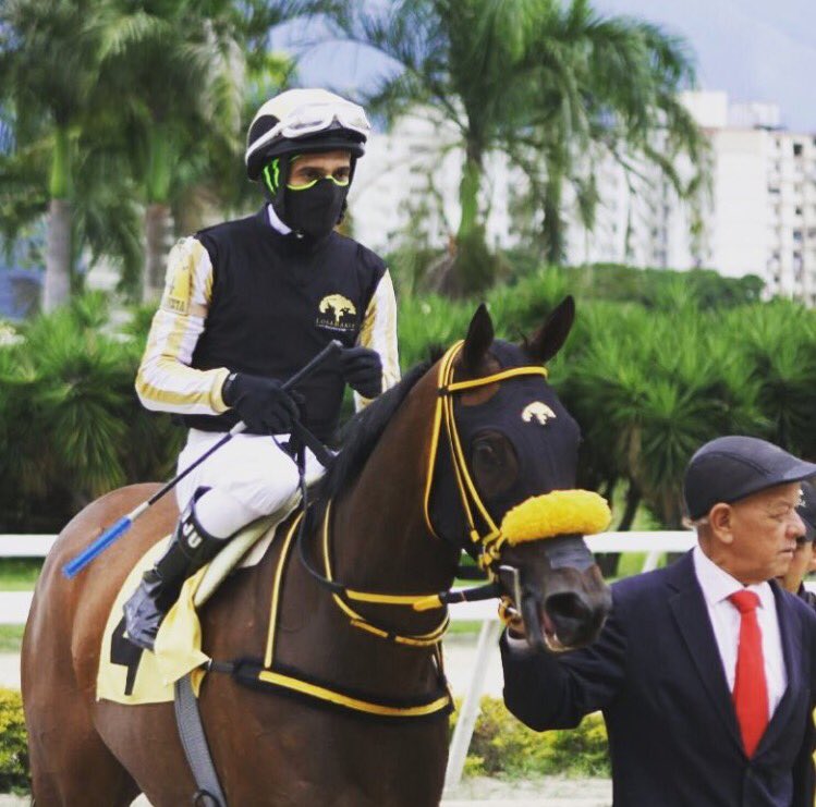 Haraslossamanes's tweet photo. #Hipismo RUNNING RIVER!!! Regresa nuestra consentida en el Clásico de los Sprinters de Yeguas. #GalaHípica2017 @Haraslossamanes https://t.co/iKNUD5BSiK