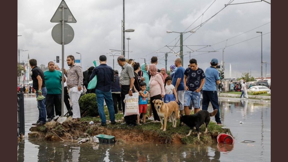 Issız bir adaya düşseniz yanınıza alacağınız 3 şey nedir?