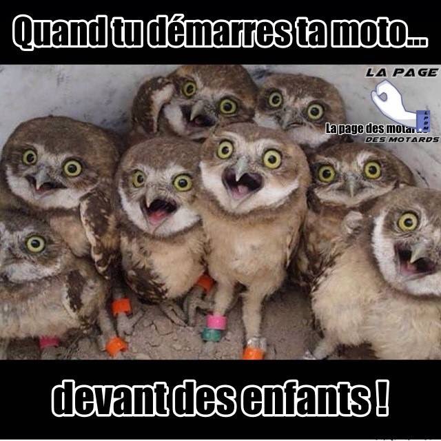 motardsidf's tweet photo. #MotardsIDF #LaPageDesMotards #Moto ✌️ https://t.co/cpWrN4AoES