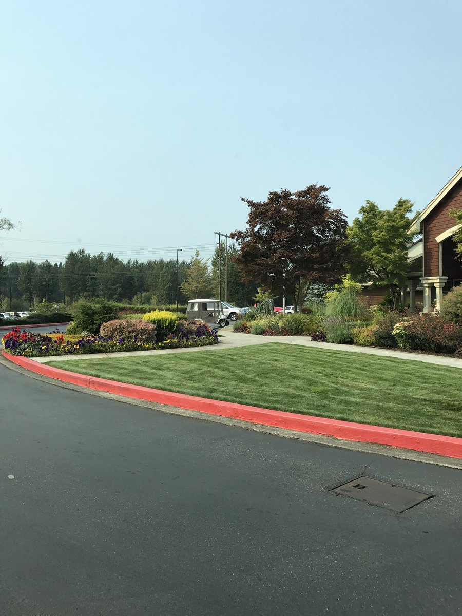 Green grass is better!!  #grass #landscapeing #GreenIndustry