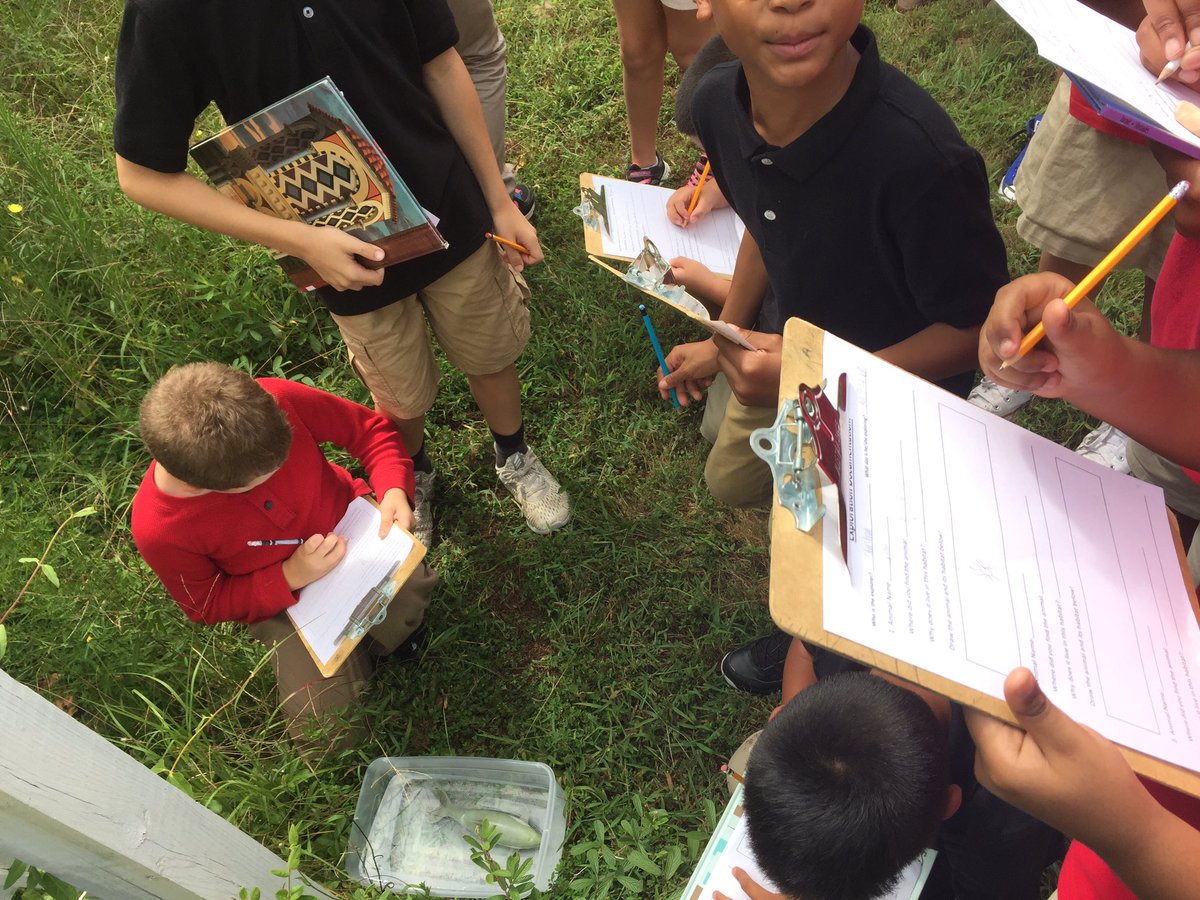 isonsprings3rd's tweet photo. We had some fun today looking for animals in their natural habitats! Nos divertimos hoy buscando animales en sus hábitats naturales! https://t.co/BYoNUcKW7T