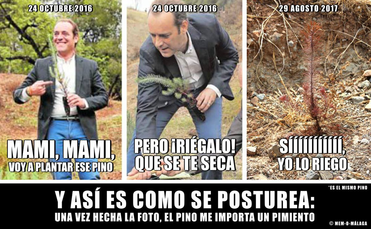 Marga43355174's tweet photo. @CsMalaga @Juancassa  
Pa que voy a decir na está todo dicho.... https://t.co/5QsYDEAG6F