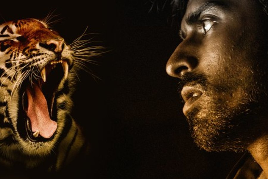 парень тигр