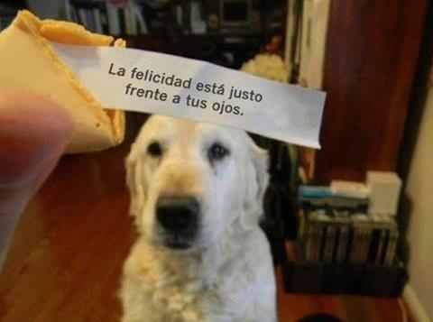 escritosnacion's tweet photo. justo frente a tus ojos https://t.co/ob9hTix6yI