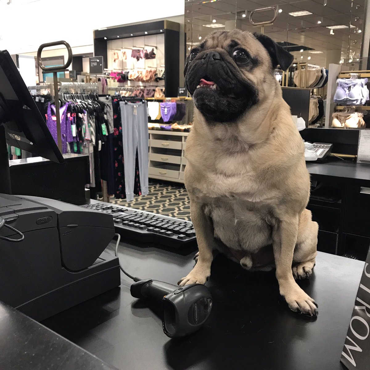 When ur buying underwear and see someone u know