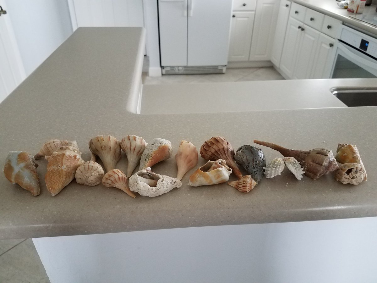 CorrectionsRN's tweet photo. Shelling https://t.co/K0p5vsLIMX